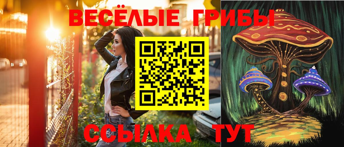 Псилоцибиновые грибы Psilocybine cubensis Костомукша