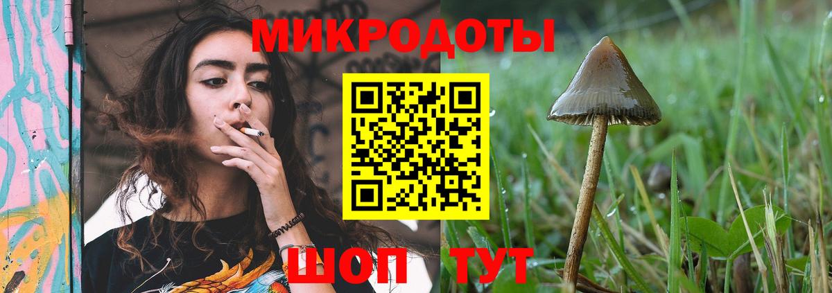 Псилоцибиновые грибы Psilocybe  Вход с VPN  Костомукша 